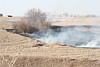 2009 - Grass Fire - 28